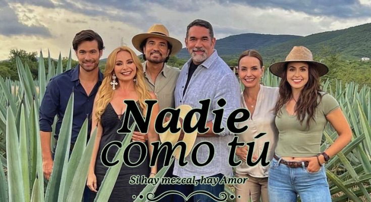 Nadie Como Tu Capitulo 52 Completo En HD